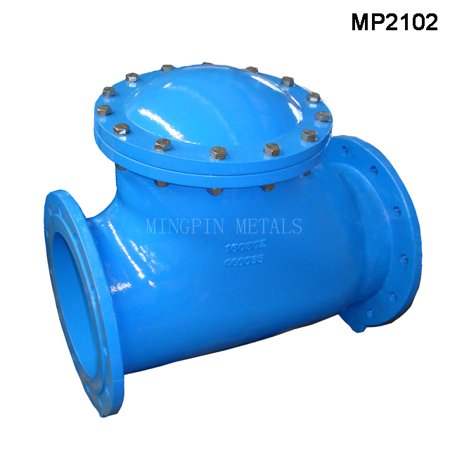 BS5153 Ball Check Valve