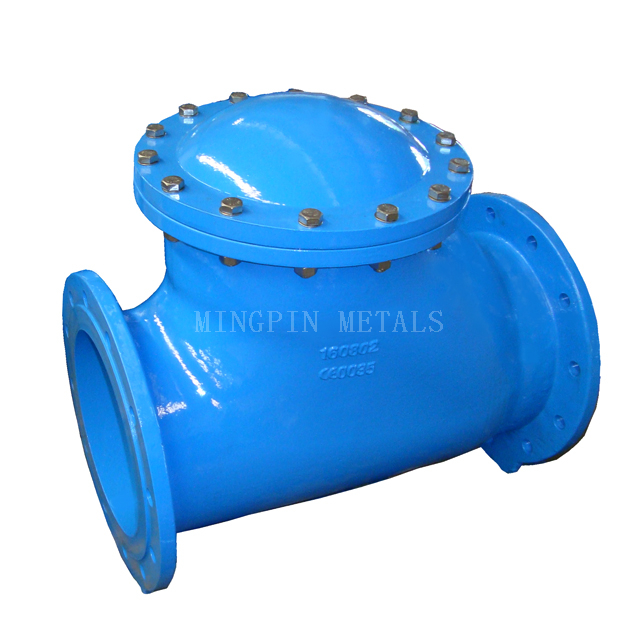 BS5153 Ball Check Valve
